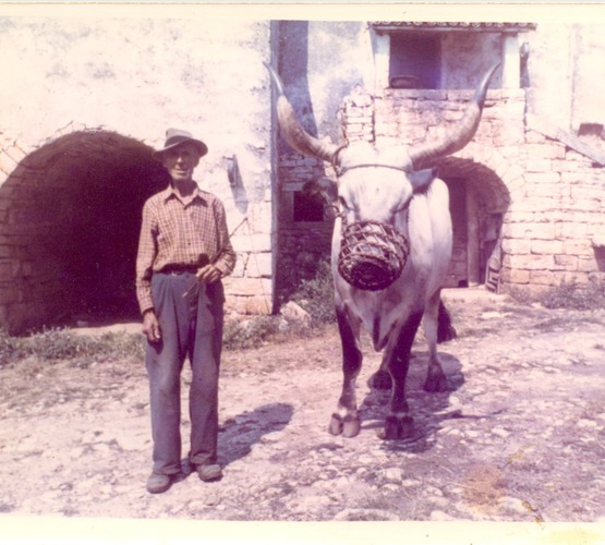 Ostavština Alojza Orela - Boškarin