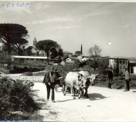 Ostavština Alojza Orela - Boškarin